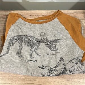 Kids Dinosaur Print Raglan Shirt - Mustard and Grey
